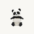 Panda Cesar